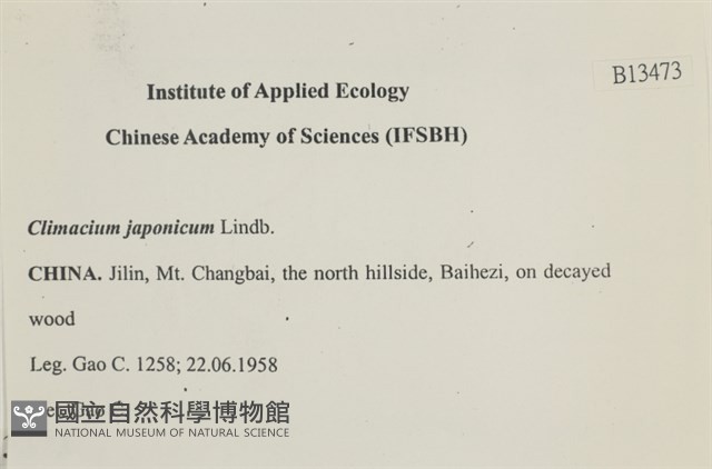 登錄號:B00013473藏品圖，第2張