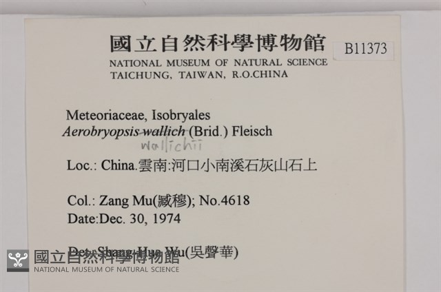登錄號:B00011373藏品圖，第2張