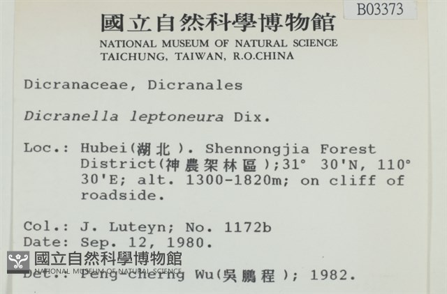 登錄號:B00003373藏品圖，第2張