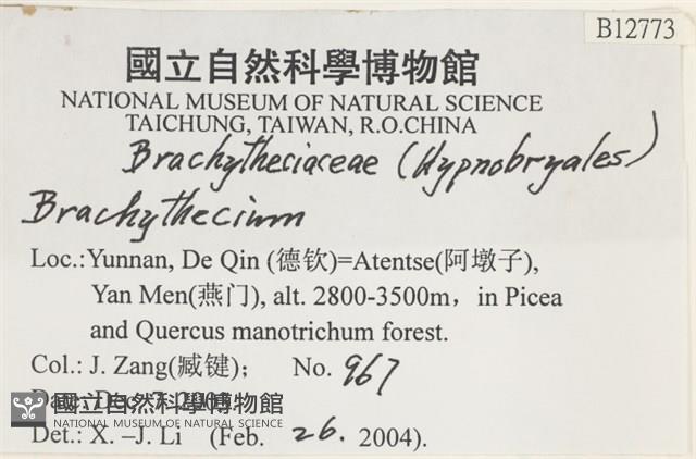 登錄號:B00012773藏品圖，第2張