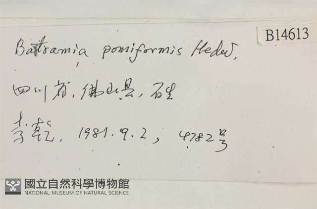 登錄號:B00014613藏品圖，第2張