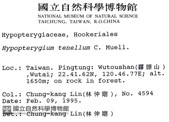 南亞孔雀蘚藏品圖，第2張
