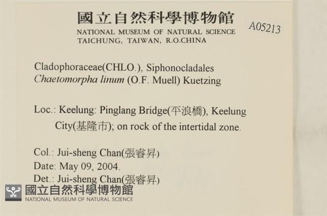 登錄號:A00005213藏品圖，第2張