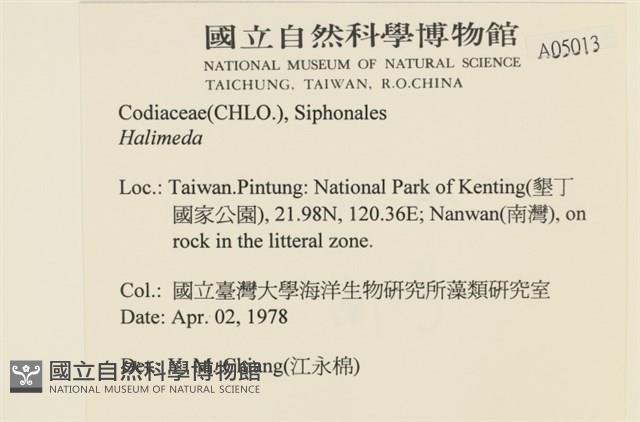 登錄號:A00005013藏品圖，第2張