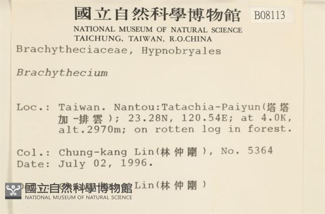 登錄號:B00008113藏品圖，第2張