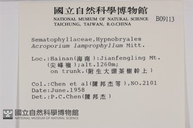 登錄號:B00009113藏品圖，第2張