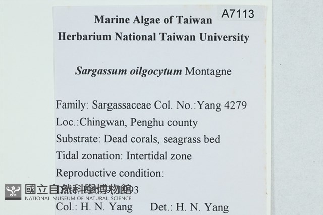 Accession Number:A00007113 Collection Image, Figure 2, Total 3 Figures