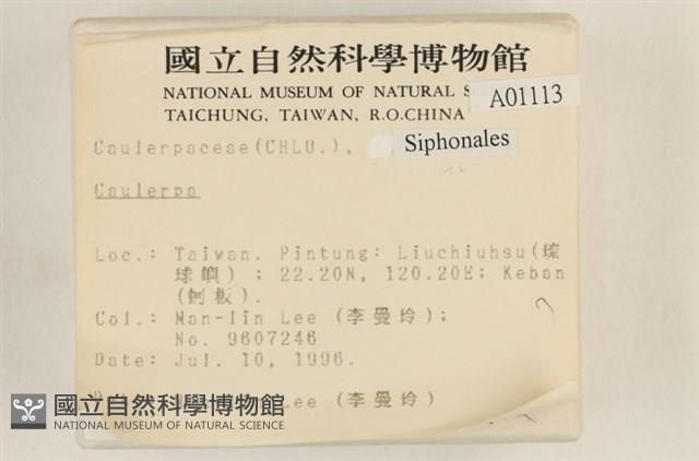 登錄號:A00001113藏品圖，第2張