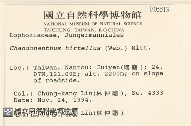 齒邊廣萼苔藏品圖，第2張