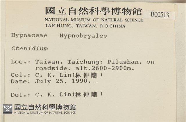 登錄號:B00000513藏品圖，第2張
