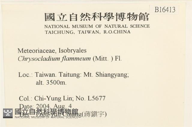 登錄號:B00016413藏品圖，第2張