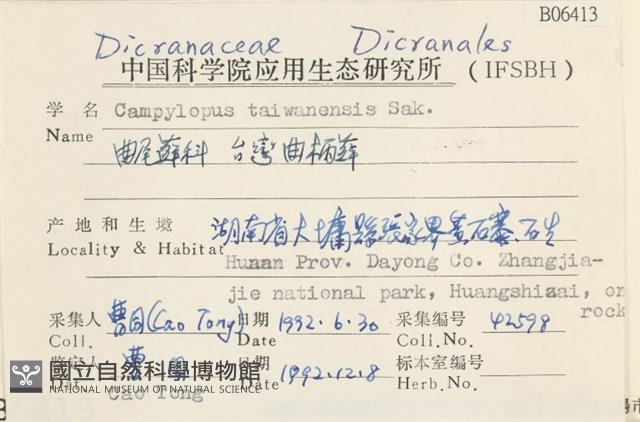 臺灣曲柄蘚藏品圖，第2張