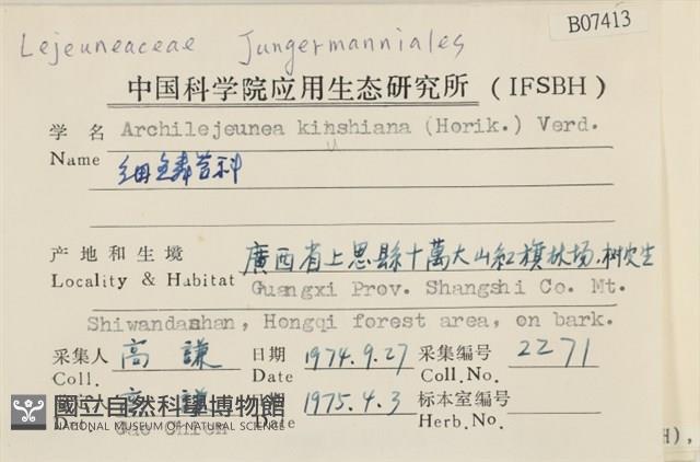 細鱗苔藏品圖，第2張