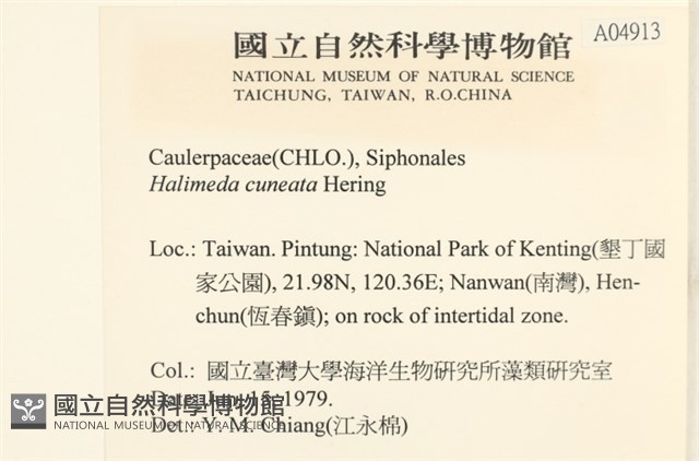 登錄號:A00004913藏品圖，第2張