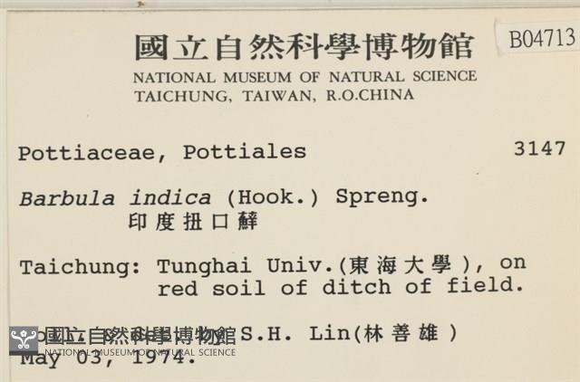 印度扭口蘚藏品圖，第2張