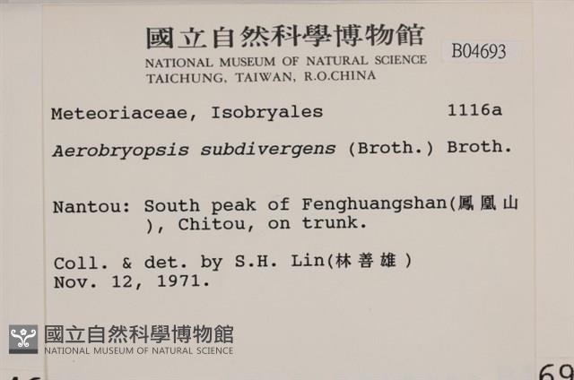 大灰氣蘚藏品圖，第2張