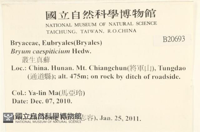 叢生真蘚藏品圖，第2張