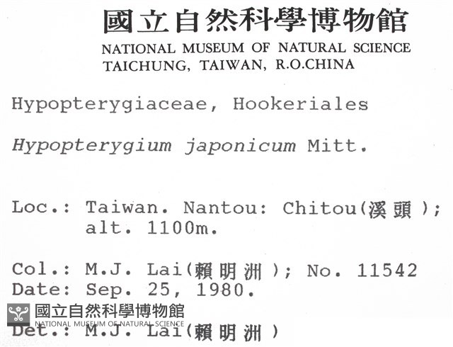 日本孔雀蘚藏品圖，第2張