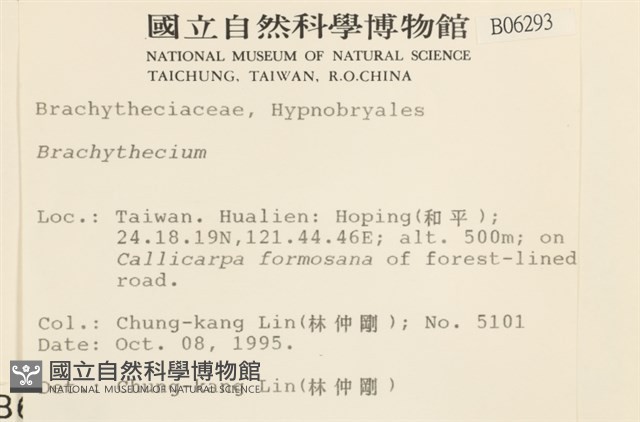 登錄號:B00006293藏品圖，第2張