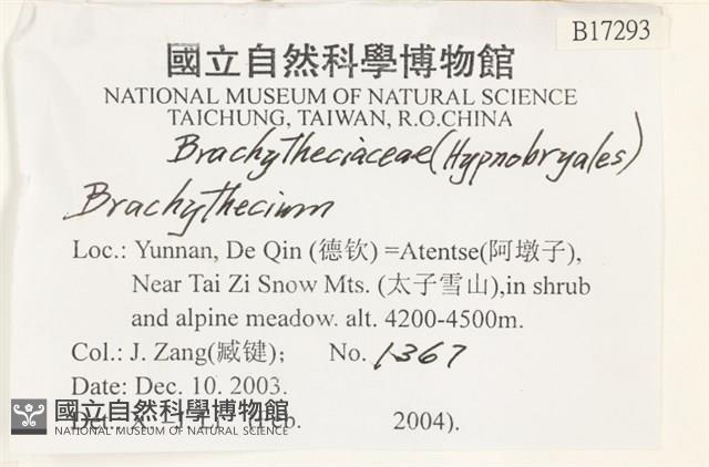 登錄號:B00017293藏品圖，第2張
