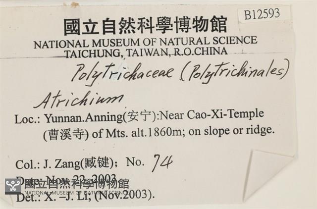登錄號:B00012593藏品圖，第2張