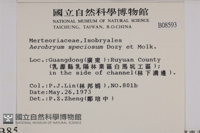 登錄號:B00008593藏品圖，第2張