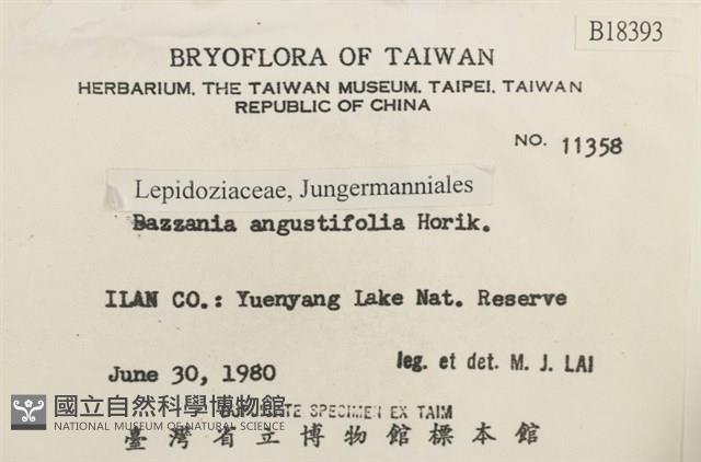 登錄號:B00018393藏品圖，第2張