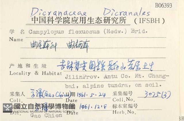 曲柄蘚藏品圖，第2張