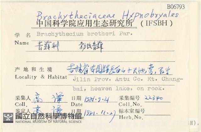 勃氏青蘚藏品圖，第2張