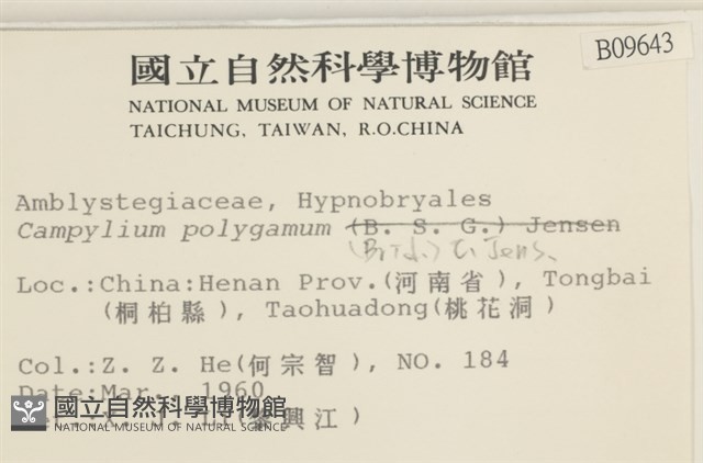 長肋細濕蘚藏品圖，第2張