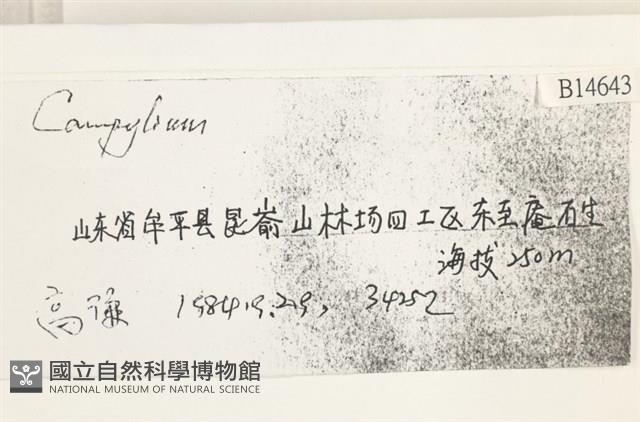 登錄號:B00014643藏品圖，第2張