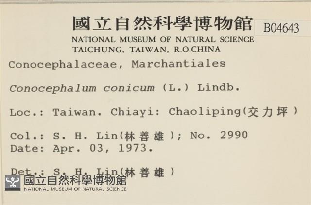 蛇苔藏品圖，第2張