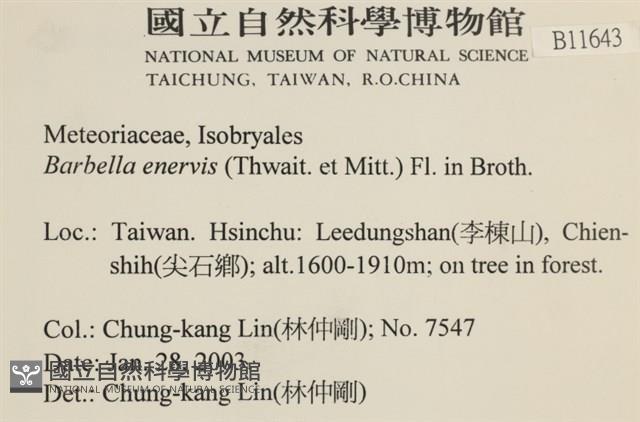 登錄號:B00011643藏品圖，第2張