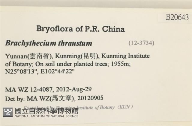 登錄號:B00020643藏品圖，第2張