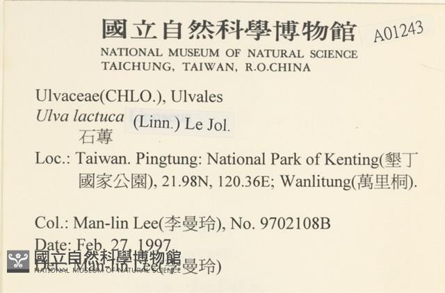 大石蓴, 石蓴藏品圖，第2張