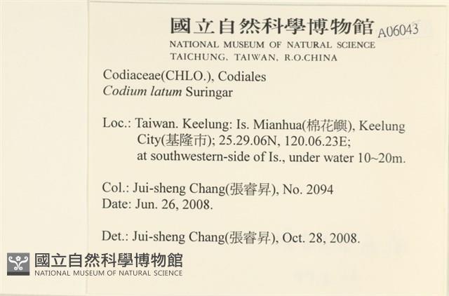 登錄號:A00006043藏品圖，第2張