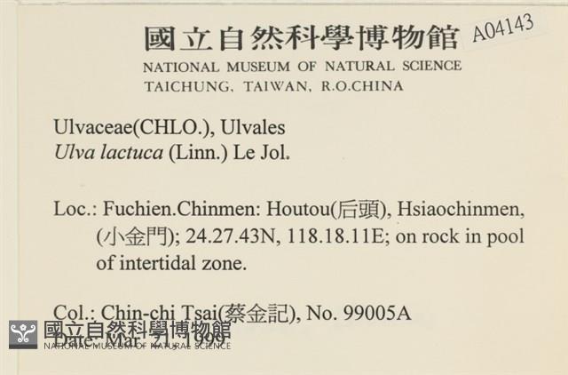 大石蓴, 石蓴藏品圖，第2張