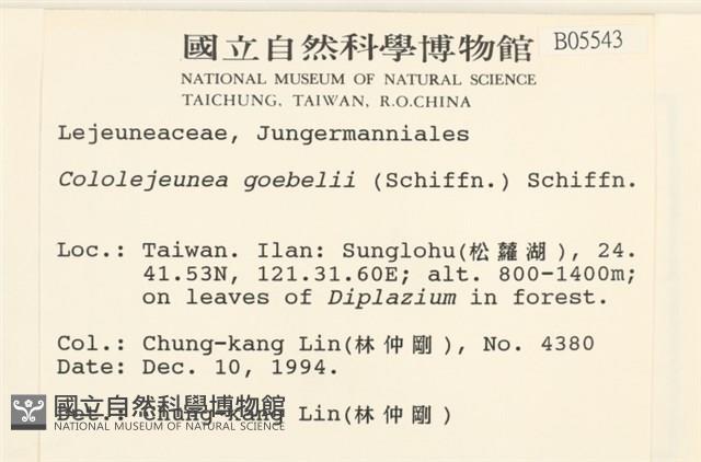 登錄號:B00005543藏品圖，第2張