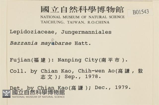 登錄號:B00001543藏品圖，第2張