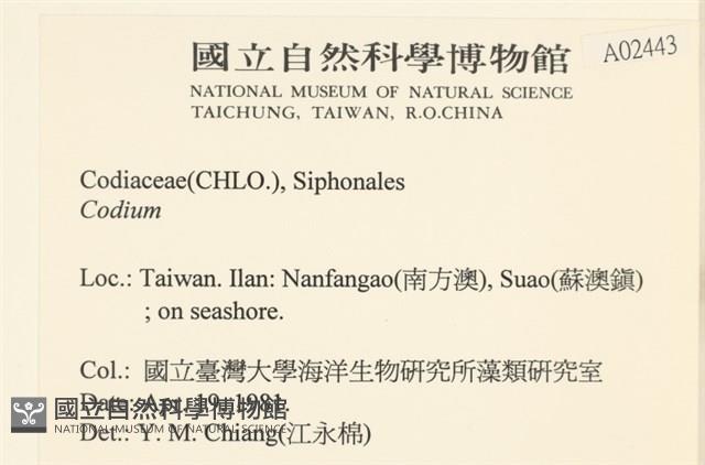 登錄號:A00002443藏品圖，第2張