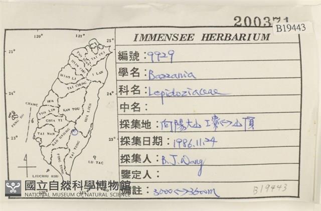 登錄號:B00019443藏品圖，第2張
