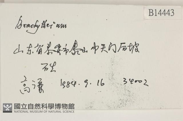 登錄號:B00014443藏品圖，第2張