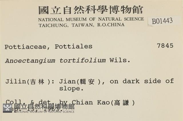 登錄號:B00001443藏品圖，第2張