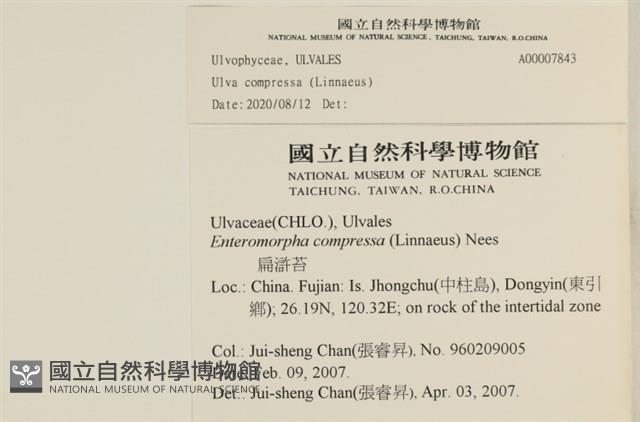 登錄號:A00007843藏品圖，第2張