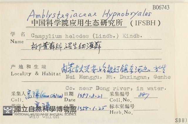 沼生細濕蘚藏品圖，第2張