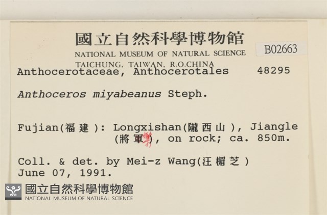 登錄號:B00002663藏品圖，第2張