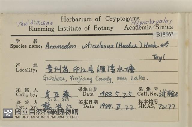 登錄號:B00018663藏品圖，第2張