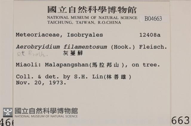 毛扭蘚藏品圖，第2張