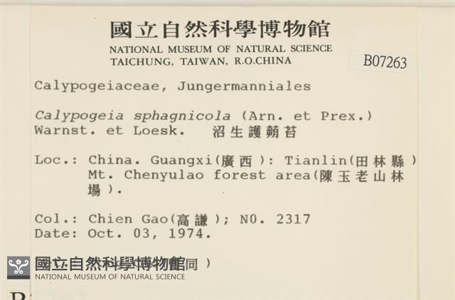 沼生護蒴苔藏品圖，第2張