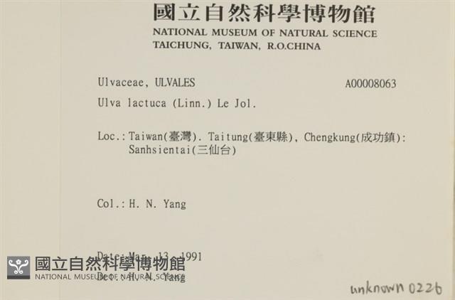 大石蓴, 石蓴藏品圖，第2張